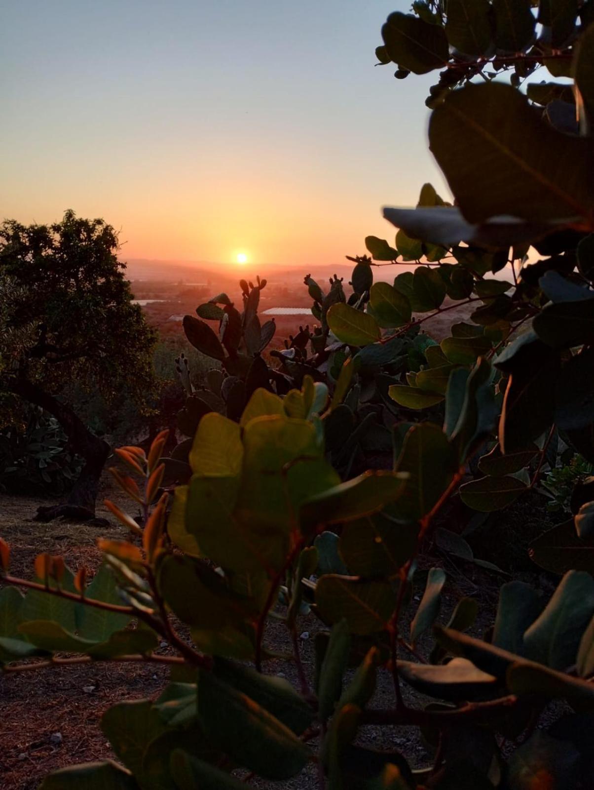 Ronnavona Casa Vacanze B&B Chiaramonte Gulfi Exteriér fotografie